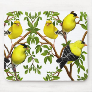 Deco Goldfinches in Vines Mousepad