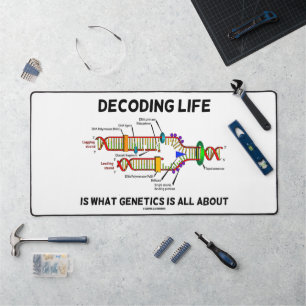 Décoder La Vie Est Ce Que La Génétique Est Tout À