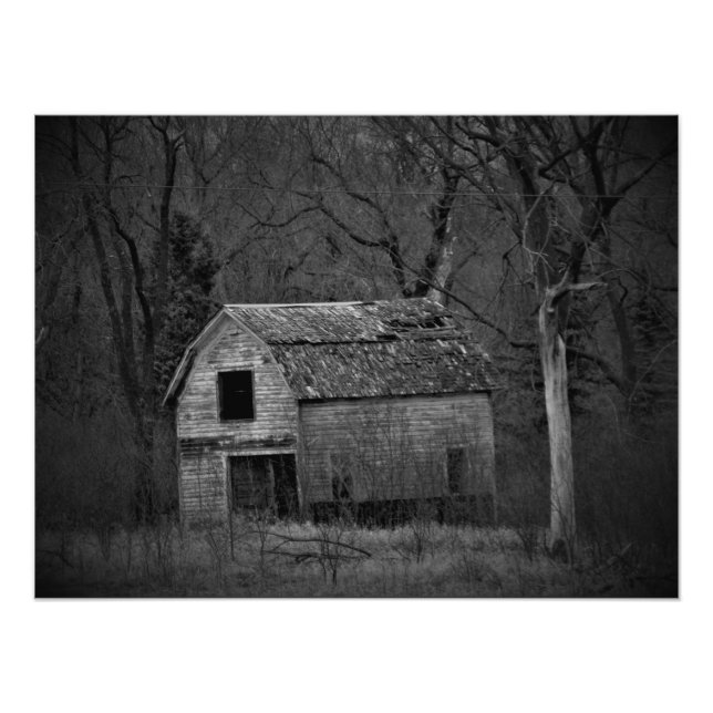 "Decomposition" Photo Print (Front)