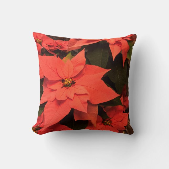 Décor Coussin de Noël Rouge Poinsettia (Recto)