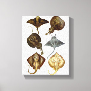 Décor de mur de toile enveloppé par #4 de
