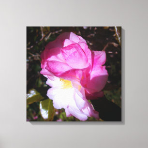 Décor Mur En Toile De Couleur De Camellia Rose