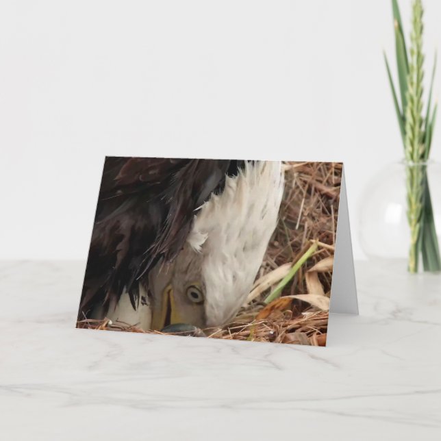 Decorah North Eagles: The Worm Moon Card (Front)