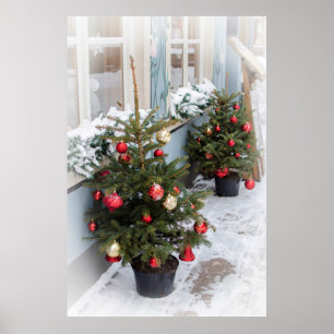 Decorated Christmas trees on street. Poster