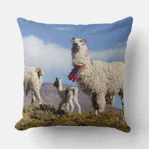 Decorated lama herd in the Puna, Andes mountains 3 Throw Pillow