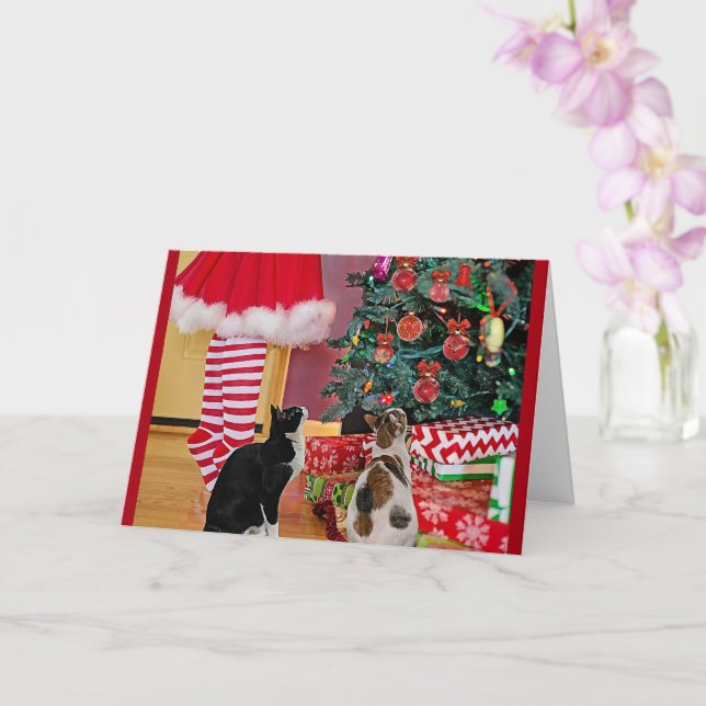 Decorating The Tree Card (Orchid)