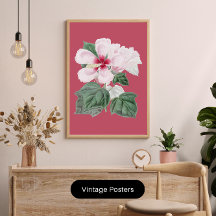 décoration de maison de bureau d'Hibiscus Splendid