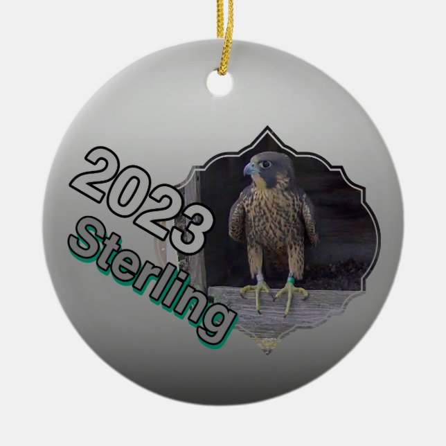 Décoration En Céramique 2023 Céramique Cercle Ornament Sterling (Devant)