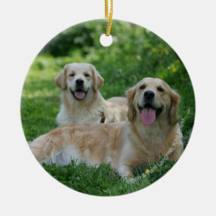 Décoration En Céramique 2 chiens d'arrêt d'or s'étendant dans l'herbe