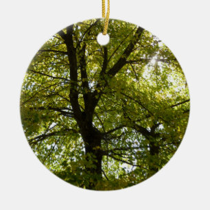 Décoration En Céramique À l'intérieur d'une érablière jaune automne