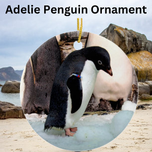 Décoration En Céramique Adelie Penguin