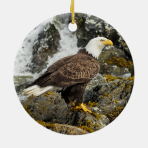 Décoration En Céramique Aigle à tête blanche