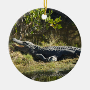 Décoration En Céramique Alligator se faisant dorer sur la rive d'un marais