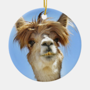 Décoration En Céramique Alpaga avec les cheveux fous