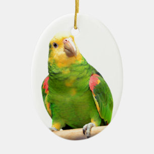 Décoration En Céramique Amazone Jaune-dirigée