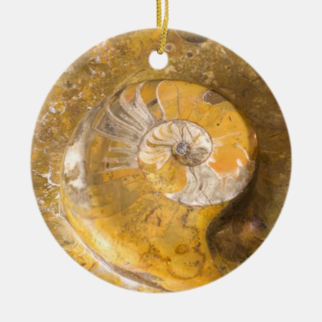 Décoration En Céramique Ammonite Fossil Rock Nature Photographie Céramique (Devant)