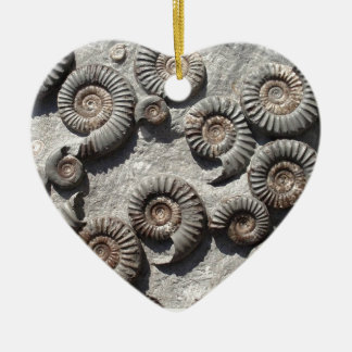 Décoration En Céramique ammonites fossiles multiples du Lower Lias
