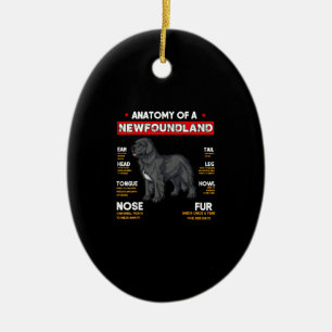 Décoration En Céramique Anatomy Of A Newfoundland Dogs Lovers
