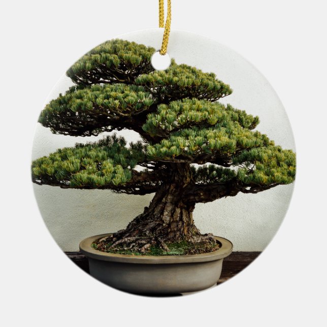 Décoration En Céramique Arbre de bonsaïs de White Pine de Japonais (Devant)