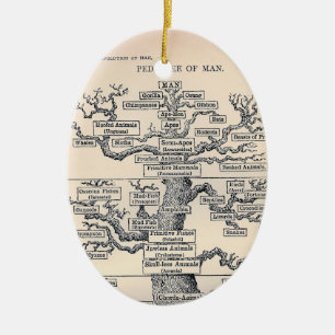 Décoration En Céramique Arbre De Vie / Pedigree De L'Homme