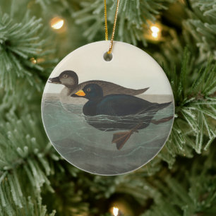 Décoration En Céramique Audubon American Scoter Duck Classic