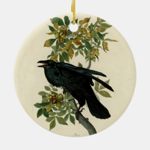 Décoration En Céramique Audubon Raven Oiseau classique