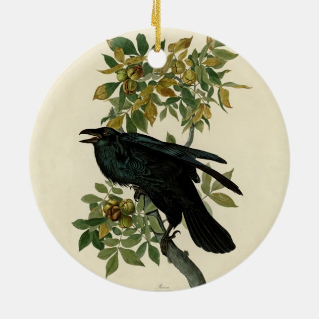 Décoration En Céramique Audubon Raven Oiseau classique (Dos)