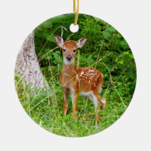Décoration En Céramique Baby Deer in the Woods Nature Photography