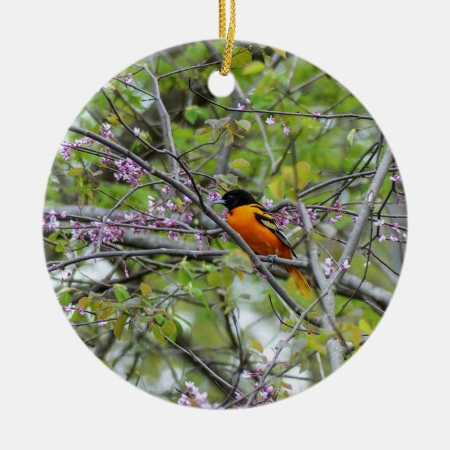 Décoration En Céramique Baltimore Oriole (Devant)