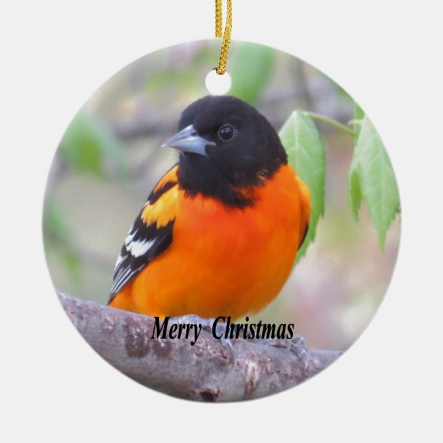 Décoration En Céramique Baltimore Oriole (Devant)