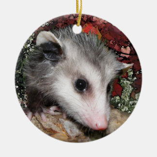 Décoration En Céramique Bébé d'opossum