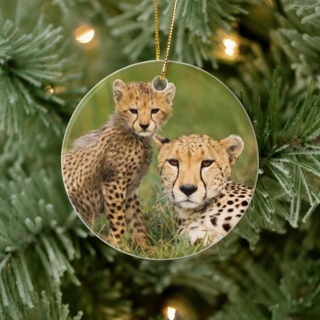 Décoration En Céramique Bébé guépard et parent dans l'herbe (Arbre)
