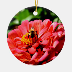 Décoration En Céramique Bee and coral zinnia