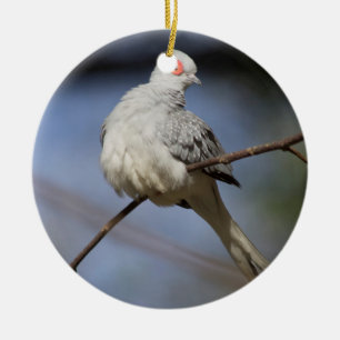 Décoration En Céramique Belle douceur Diamond Dove