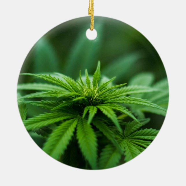 Décoration En Céramique Belle mauvaise herbe (Dos)