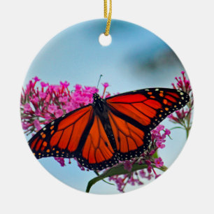 Décoration En Céramique Belle photo Monarch Butterfly