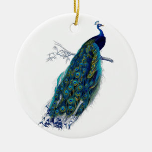 Décoration En Céramique Belles plumes de queue bleues d'oiseau de nature
