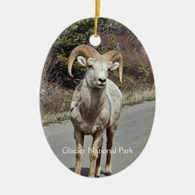 Décoration En Céramique Bighorn Sheep (Devant)