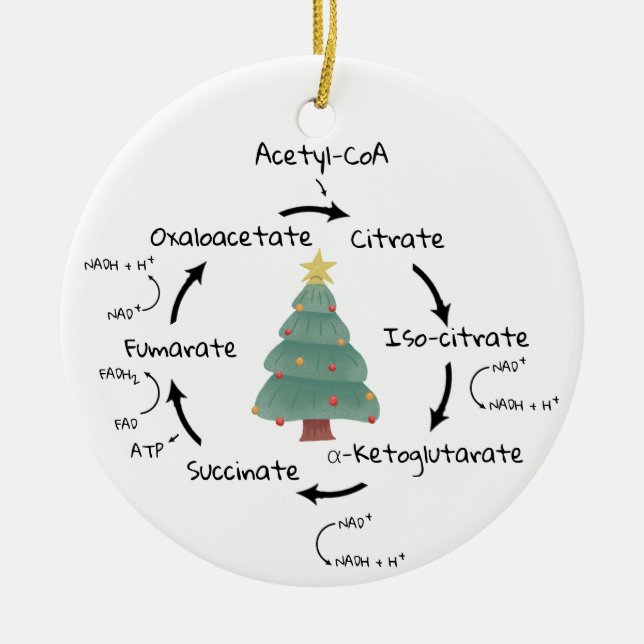 Décoration En Céramique Biologie scientifique Enseignant de Noël du cycle  (Devant)