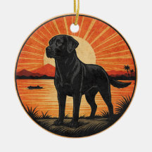 Black Labrador Retriever Sunset Amoureux des chien