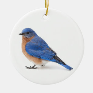 Décoration En Céramique Bluebird