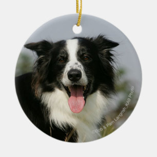 Décoration En Céramique Border collie haletant le Headshot 1