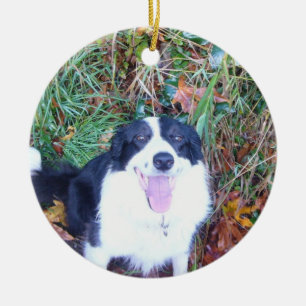 Décoration En Céramique Border collie heureux
