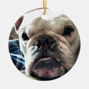 Décoration En Céramique Bouledogue anglais