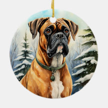 Boxe de Noël d'hiver