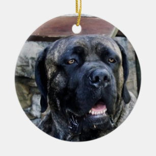 Décoration En Céramique bracelet gris de canne corso