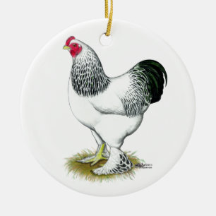 Décoration En Céramique Brahma :  Coq léger