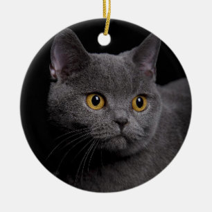 Décoration En Céramique British Shorthair