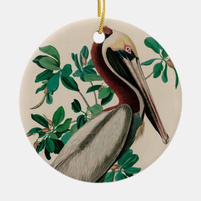 Décoration En Céramique Brown Pelican Birds of America Audubon (Devant)
