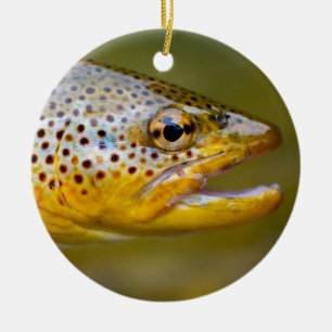 Décoration En Céramique Brown Trout